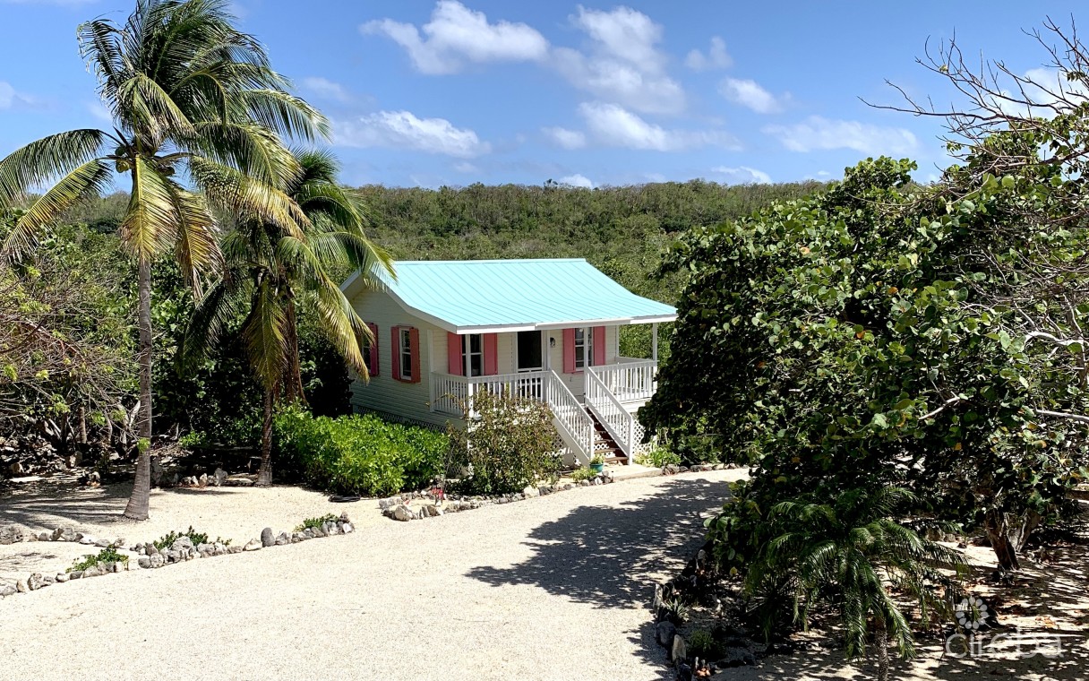 Palm Breezes - Image 19