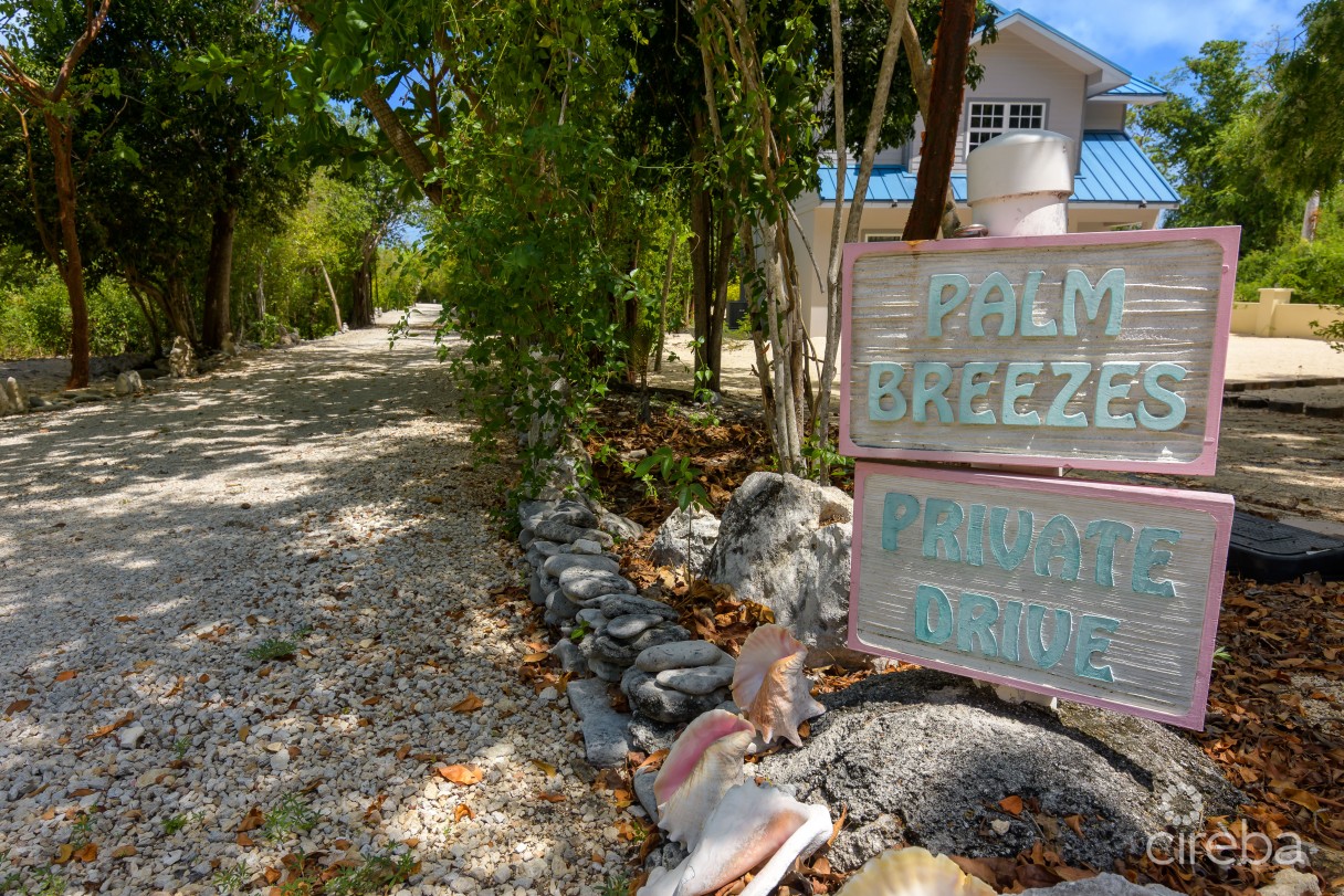 Palm Breezes - Image 3