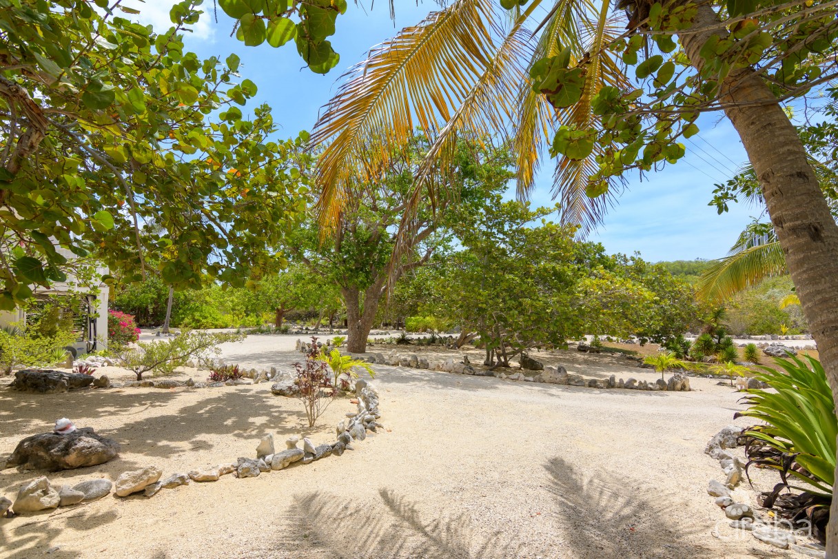 Palm Breezes - Image 4