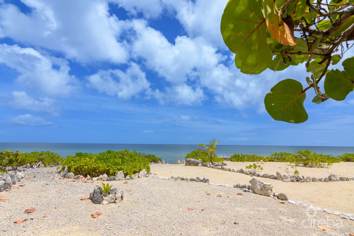 Palm Breezes - Image 6