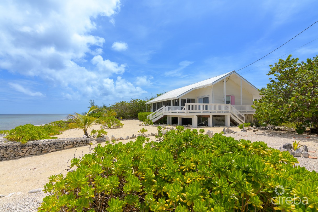 Palm Breezes - Image 8