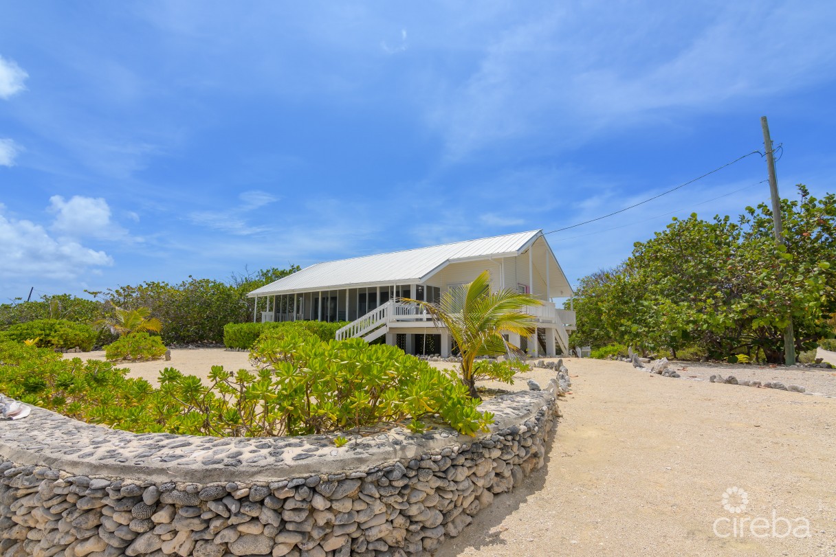 Palm Breezes - Image 9