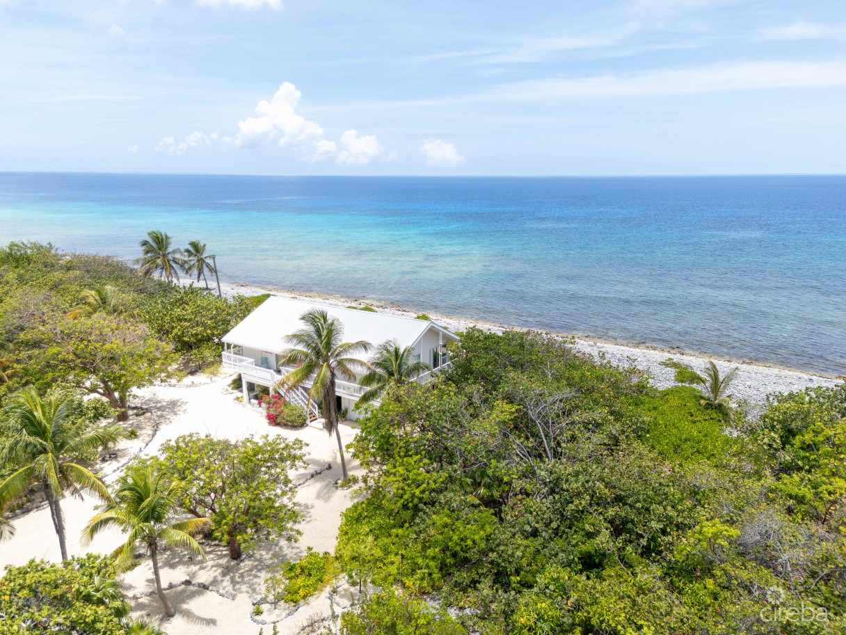 Palm Breezes - Image 10