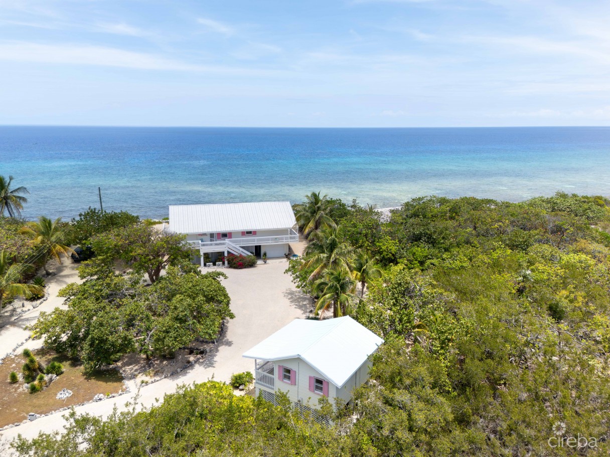 Palm Breezes - Image 12