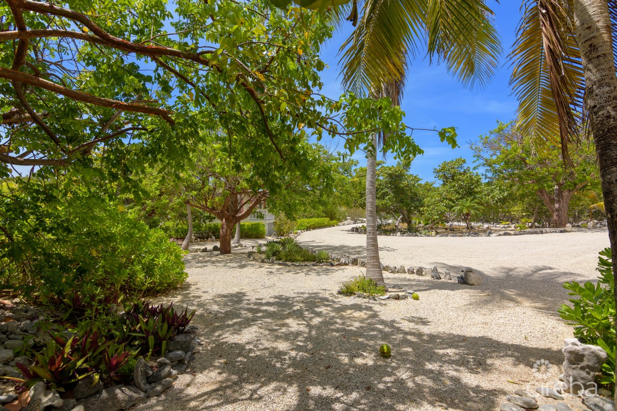 Palm Breezes - Image 13