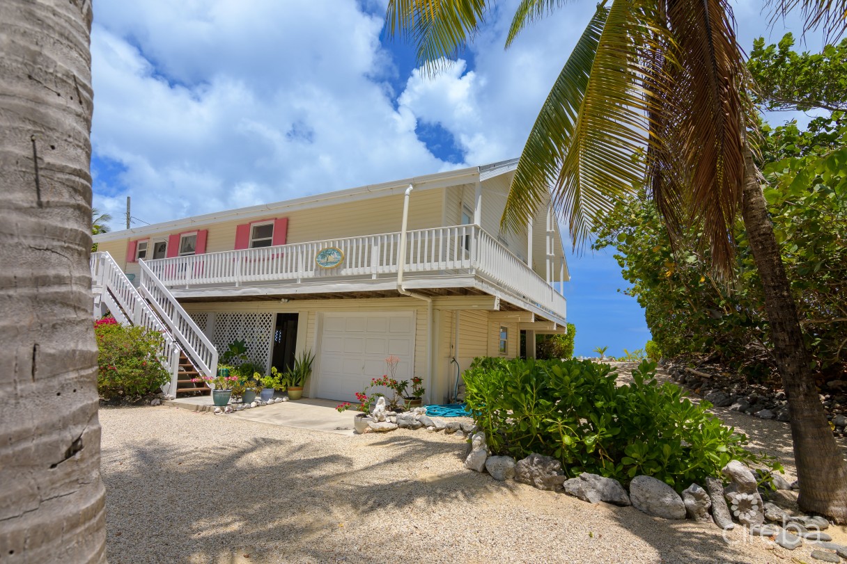 Palm Breezes - Image 14
