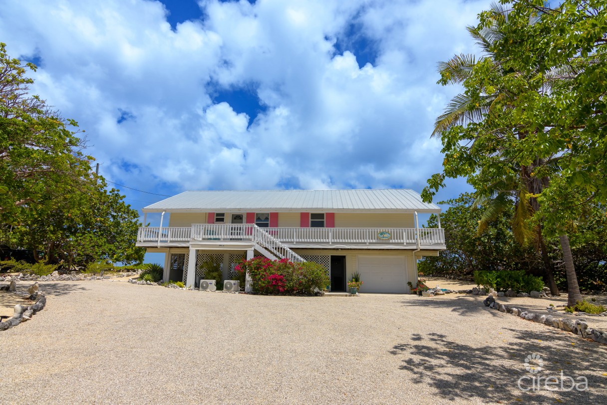 Palm Breezes - Image 15
