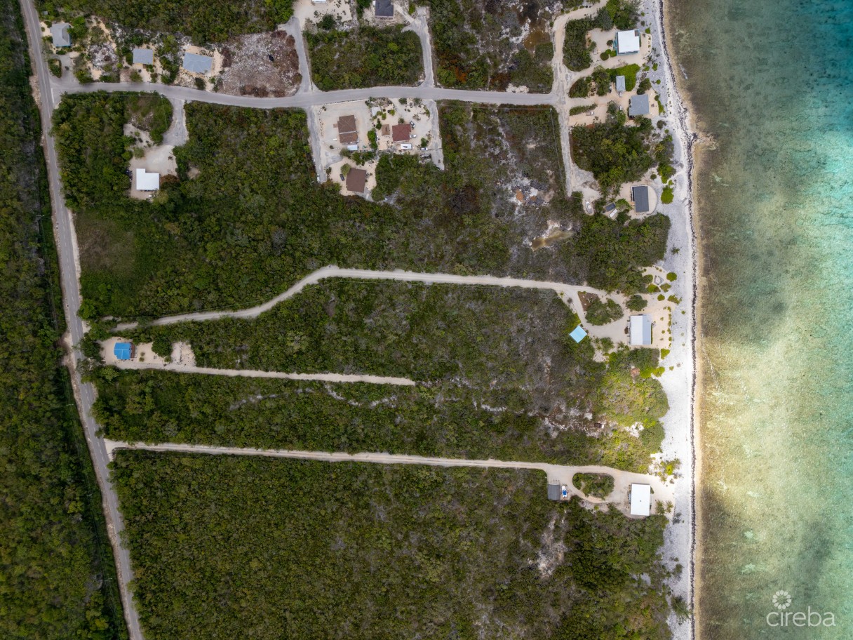 Palm Breezes - Image 16