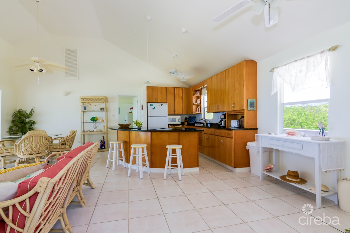 Palm Breezes - Image 17