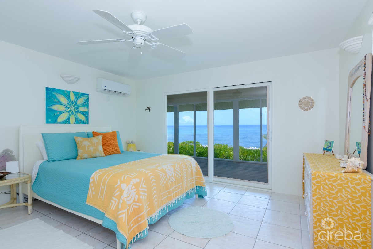 Palm Breezes - Image 22