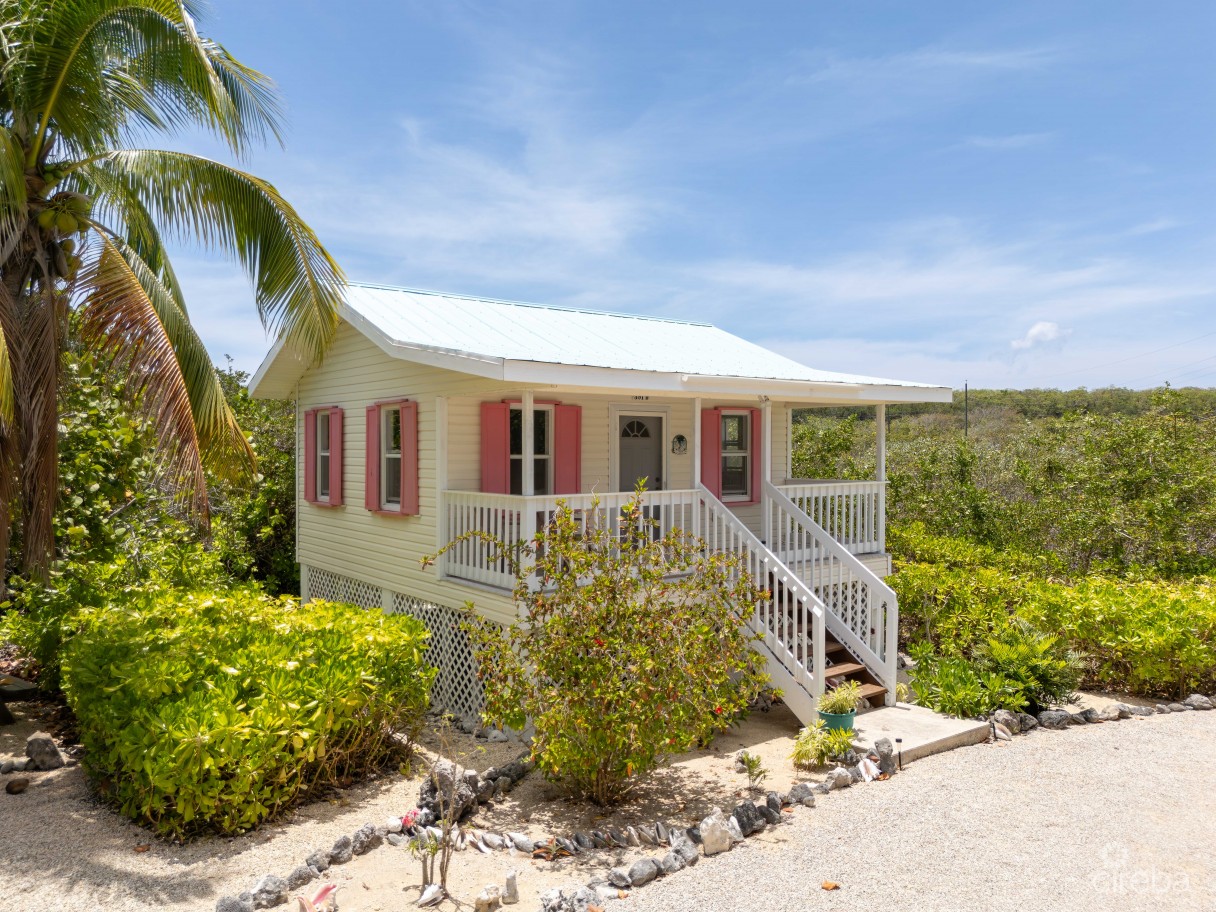 Palm Breezes - Image 23
