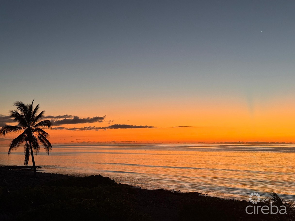 Palm Breezes - Image 25