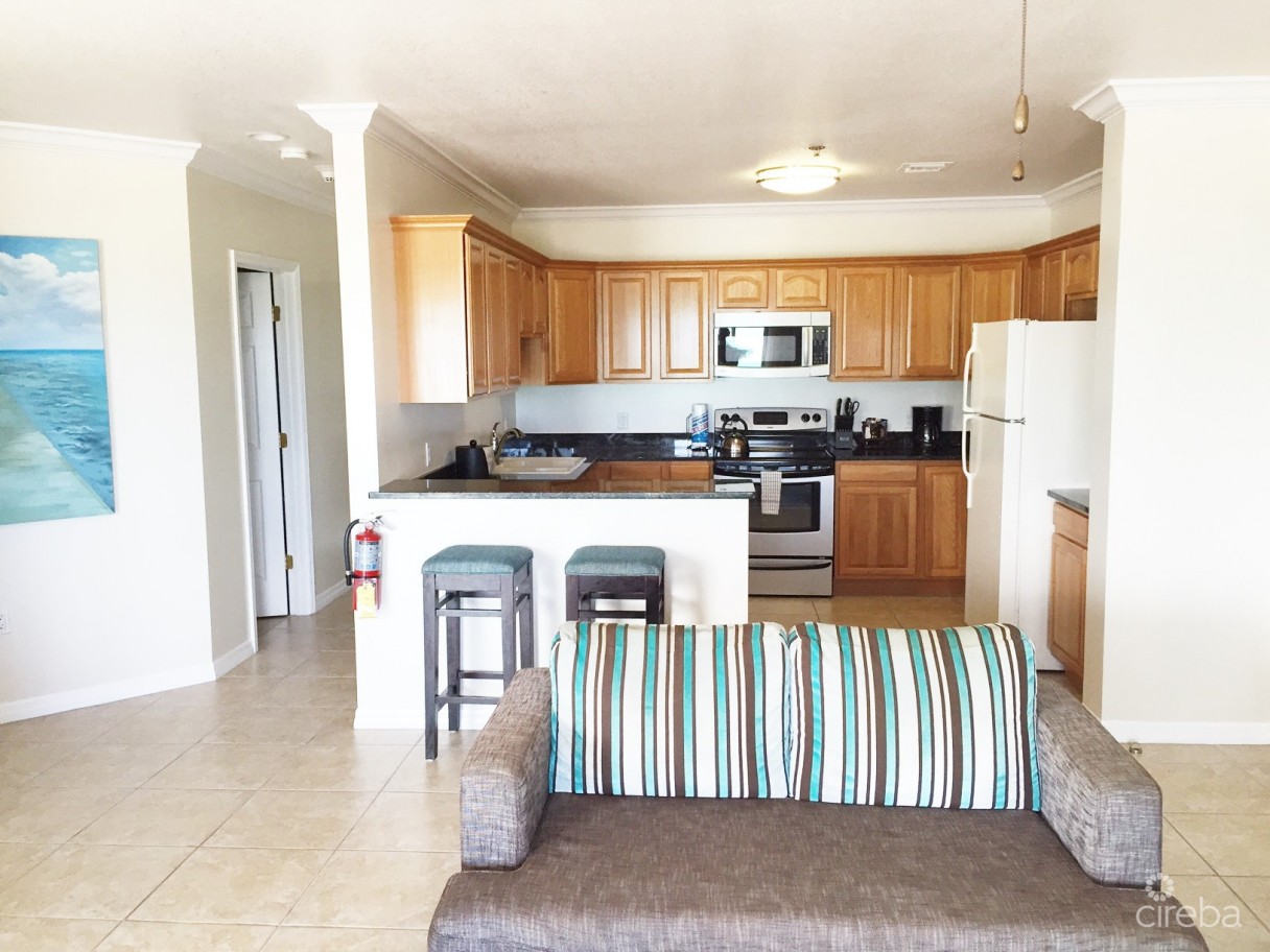 Holiday Inn Resort - Fractional Ownership - Image 2