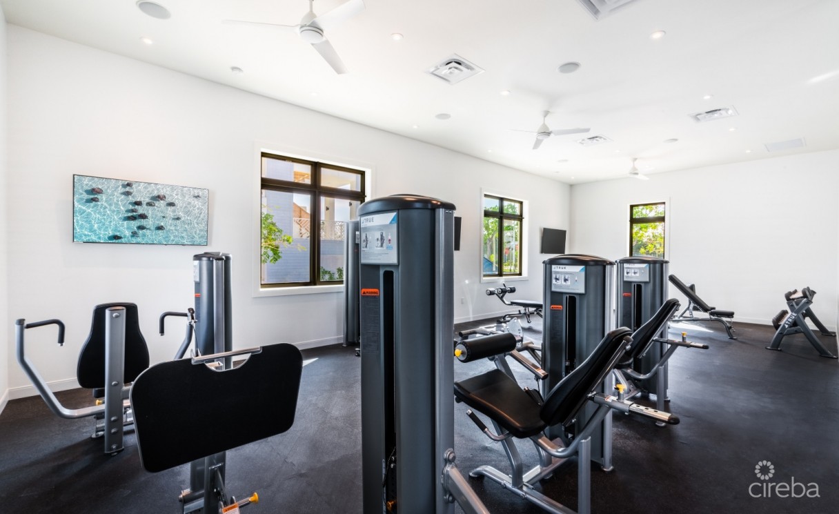 Olea 227, 4 Bed Townhome, Camana Bay - Image 10