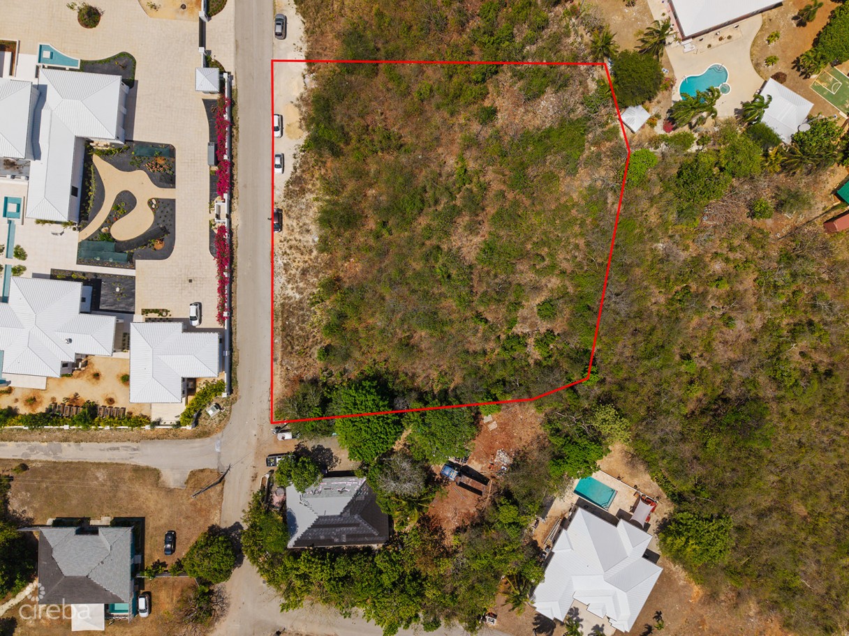 .9 Acres Off Shamrock Road - Image 3