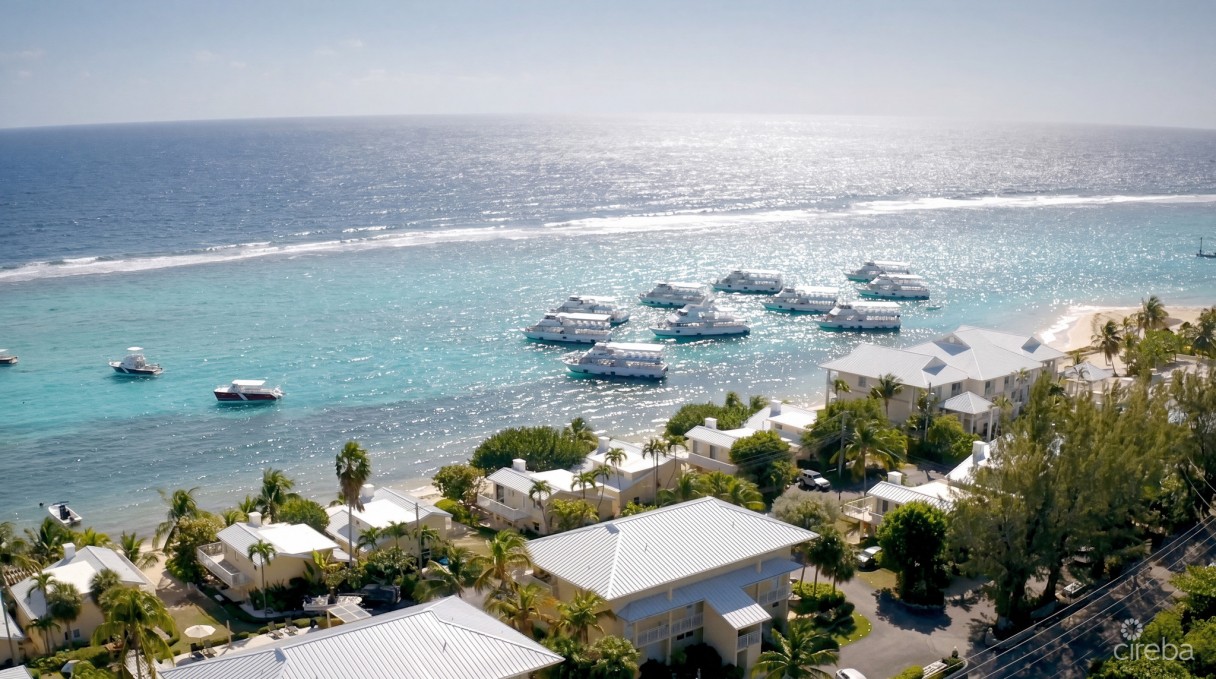 Caribbean Paradise, Beachfront Condo - Image 12