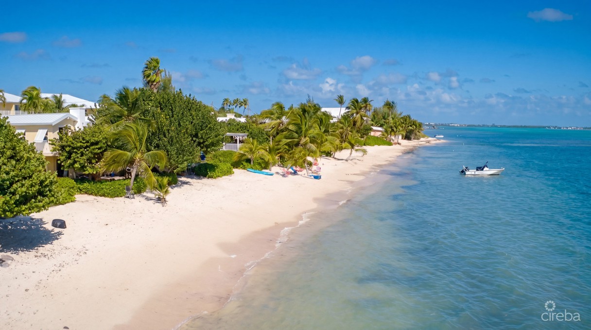 Caribbean Paradise, Beachfront Condo - Image 15