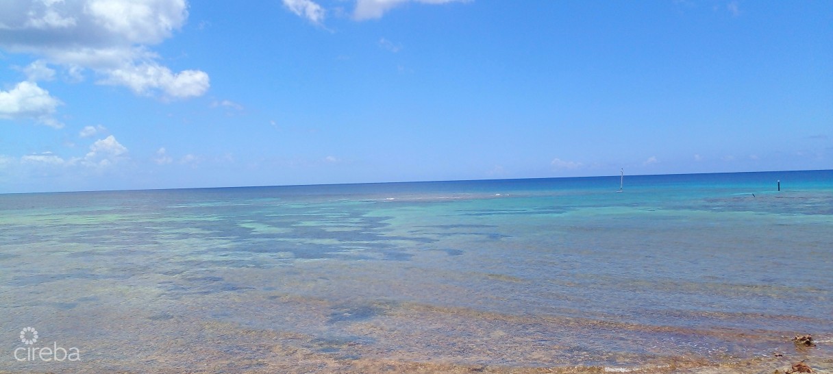Vida Vistas - Image 1