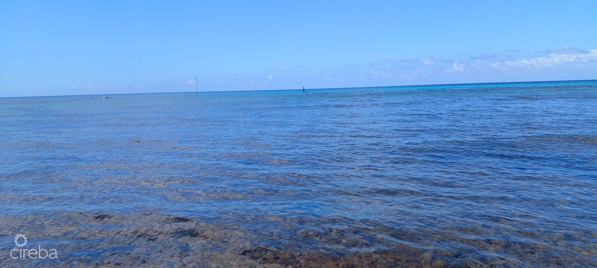 Vida Vistas - Image 2