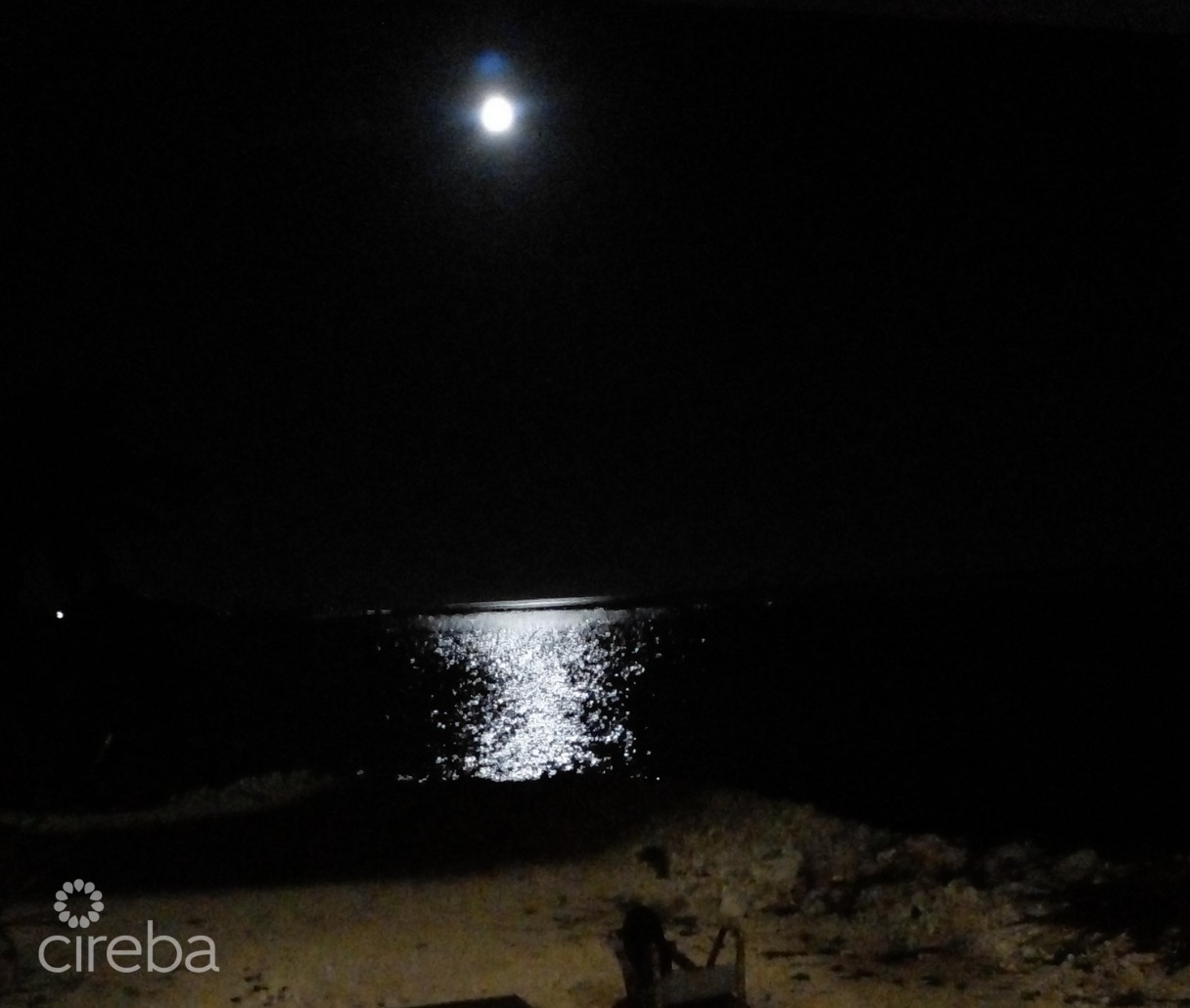 Vida Vistas - Image 4