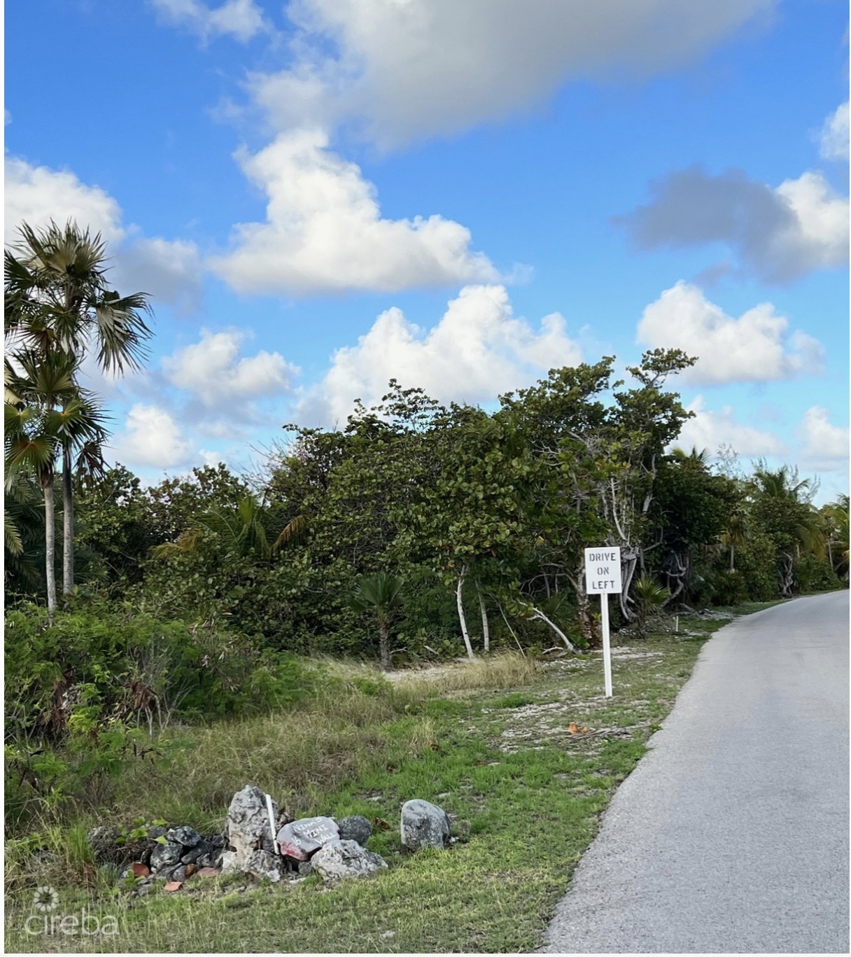 Vida Vistas - Image 7
