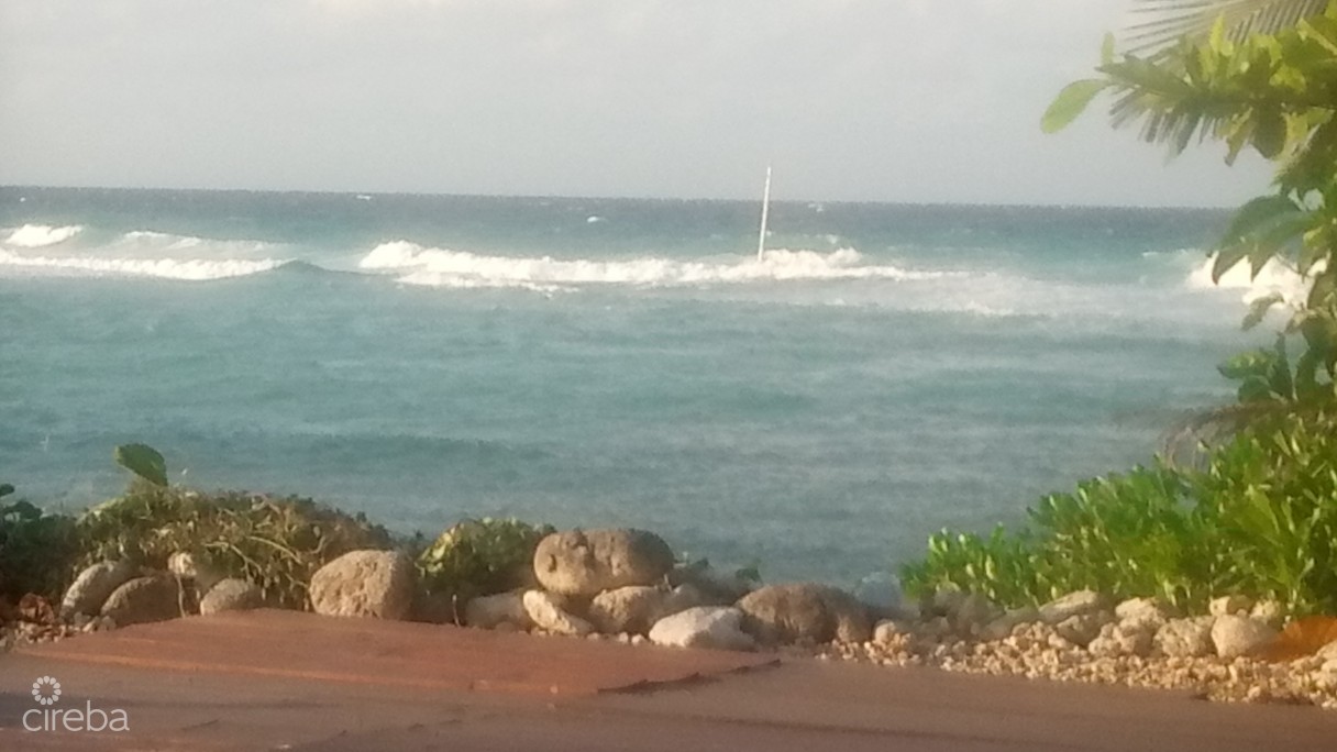 Vida Vistas - Image 12