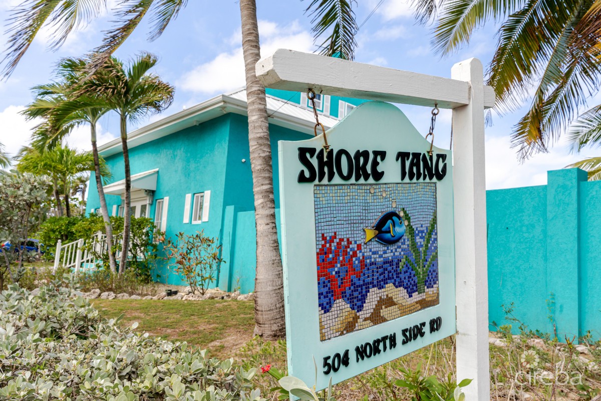 Shore Tang - Image 1