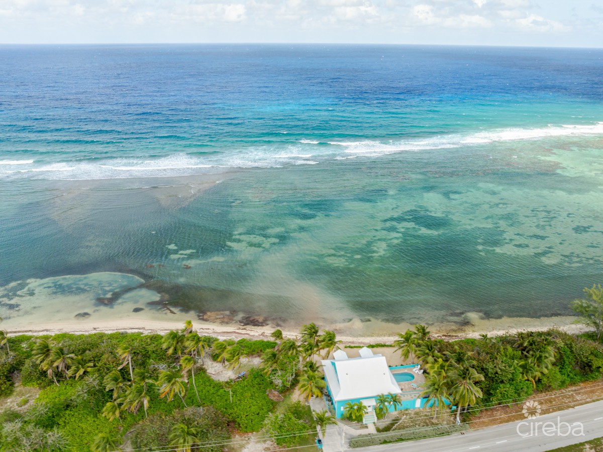 Shore Tang - Image 21