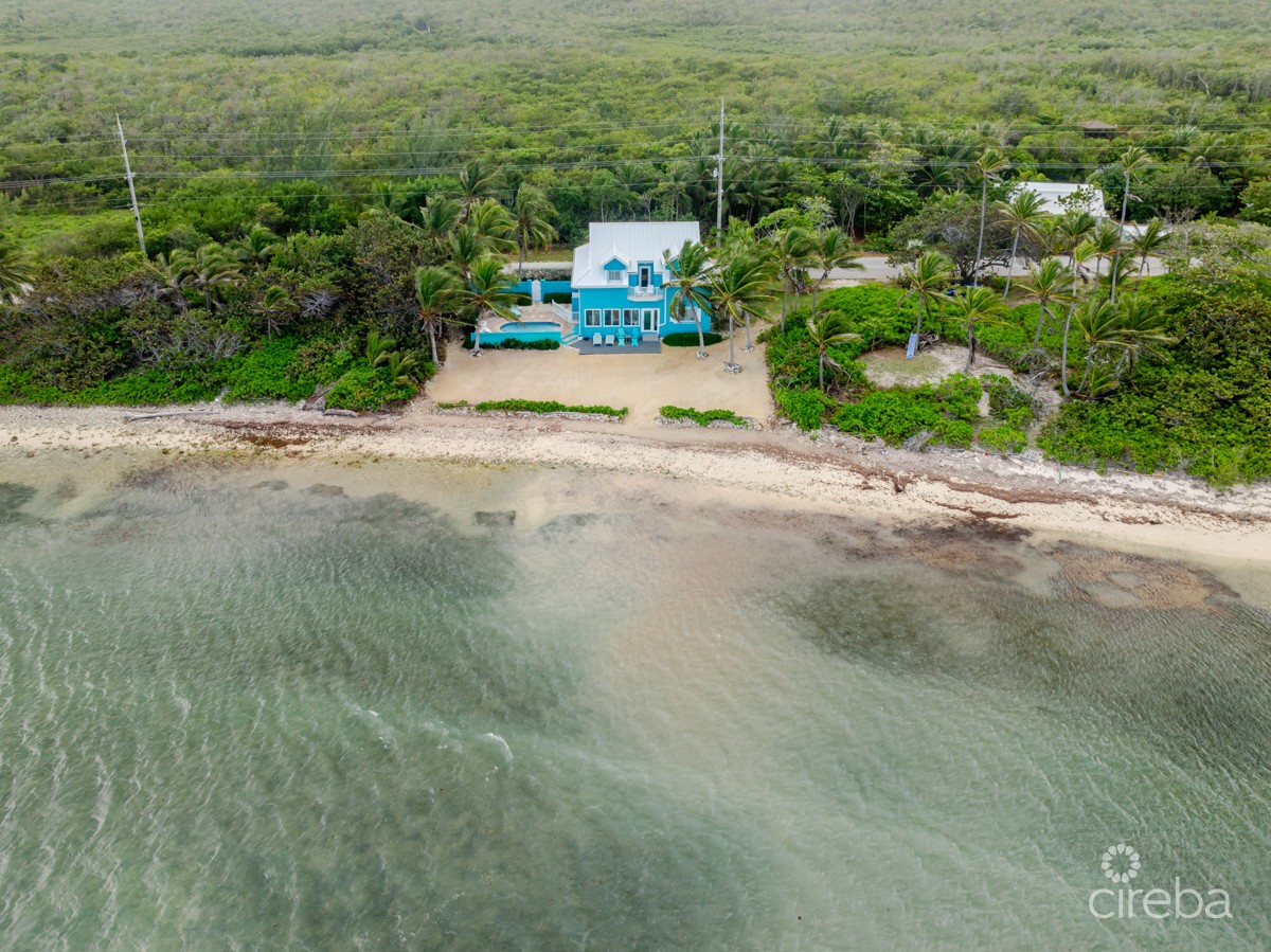Shore Tang - Image 13