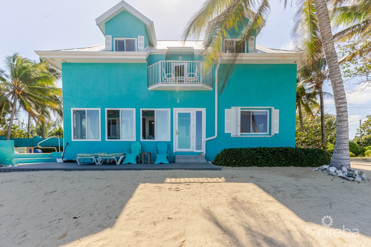 Shore Tang - Image 6