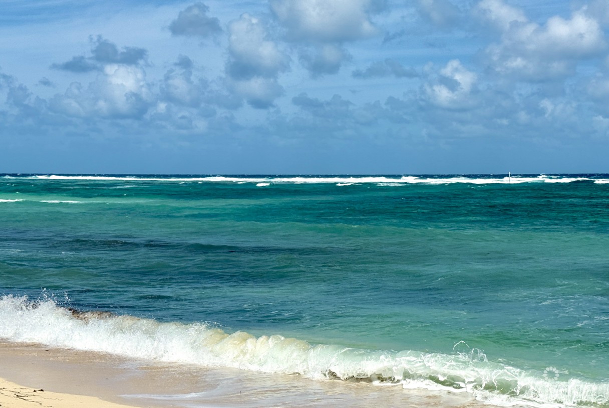 Castaways' Cove Unit 328 A/b - Image 25
