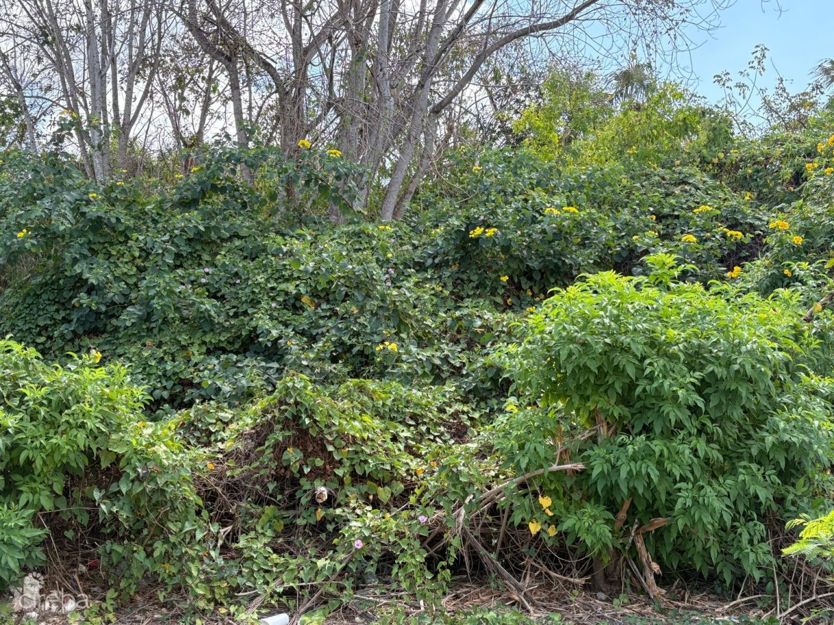 Nature's Circle Parcel - Image 1
