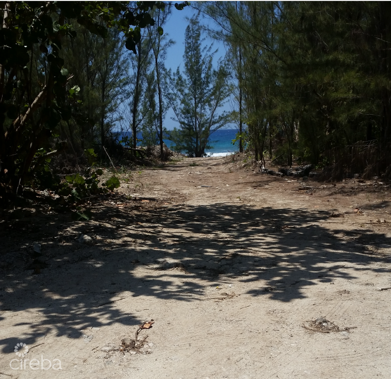 Spotts Oceanfront  Land - Image 9
