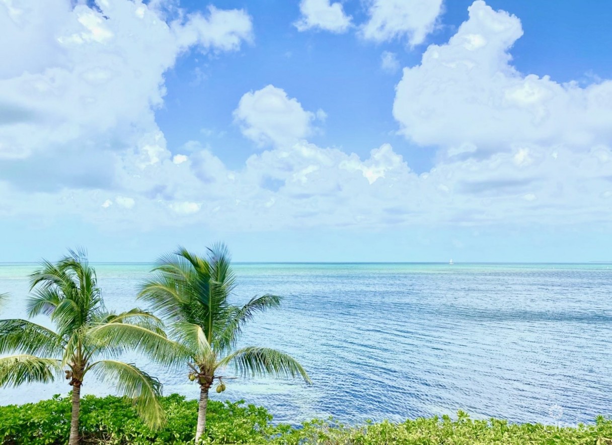 Harbour Point Oceanfront 3 Bed Plus Office - Image 32