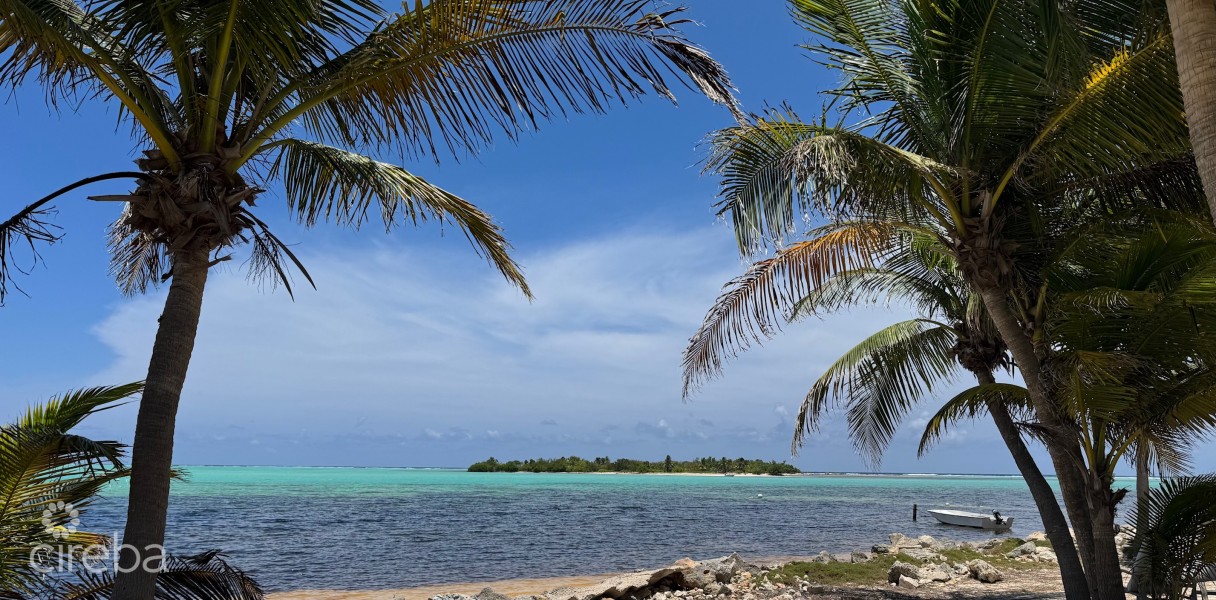 Owen Island View - Image 1