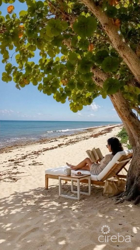 Secret Beach - Image 8
