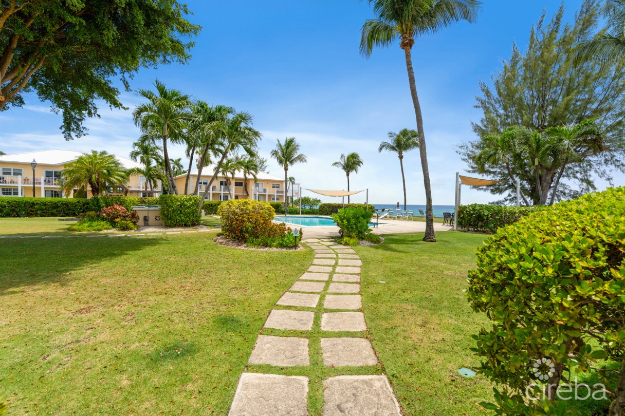 Caribbean Courts 8b, Oceanfront Condo - Image 19