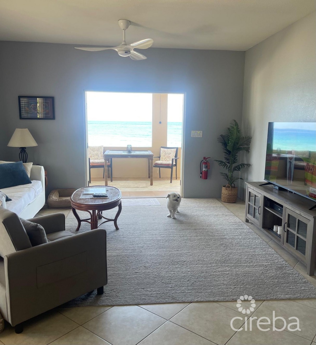 Sea Breeze - Image 7