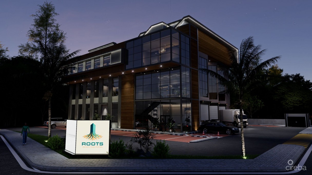 Flagship Corporate Headquarters & Logistics Facility | Prime Georgetown Industrial Location - Image 6