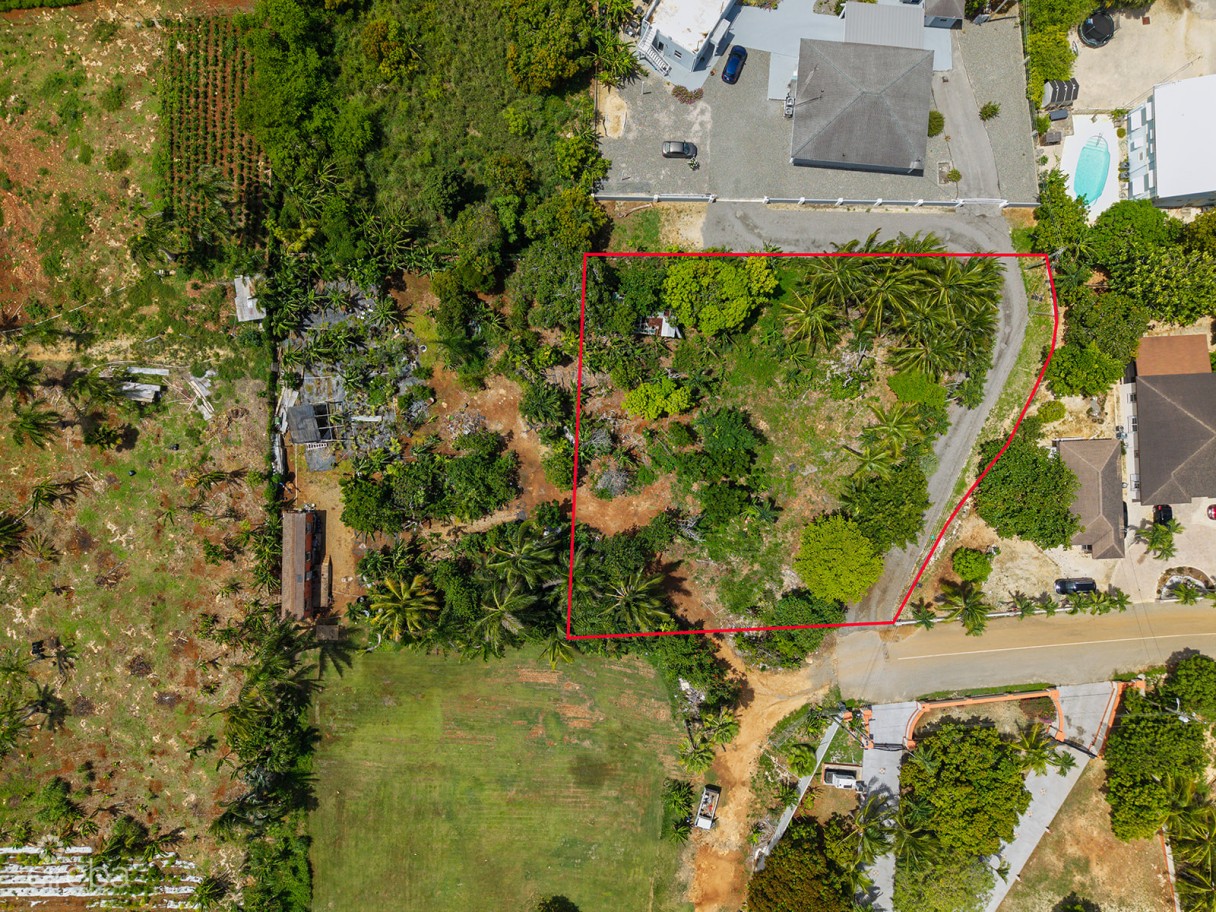 Development Opportunity - High & Dry Lot In Northward -  .53 Acres - Image 3