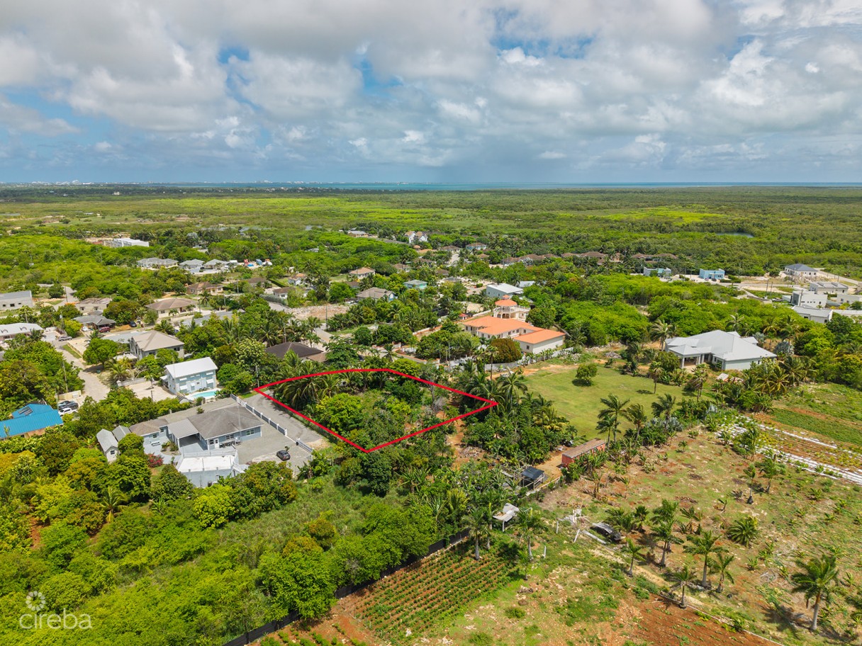 Development Opportunity - High & Dry Lot In Northward -  .53 Acres - Image 5