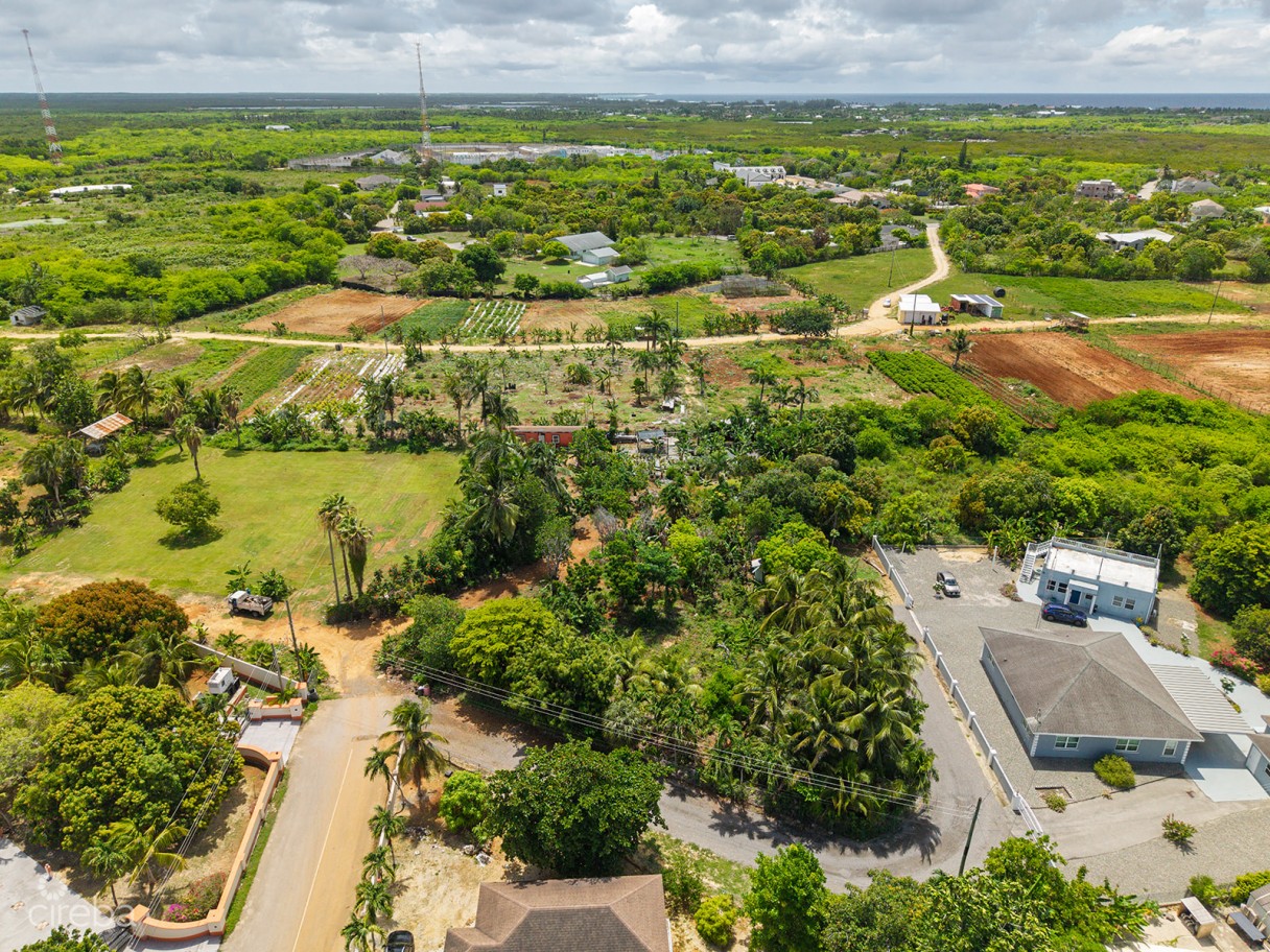 Development Opportunity - High & Dry Lot In Northward -  .53 Acres - Image 1
