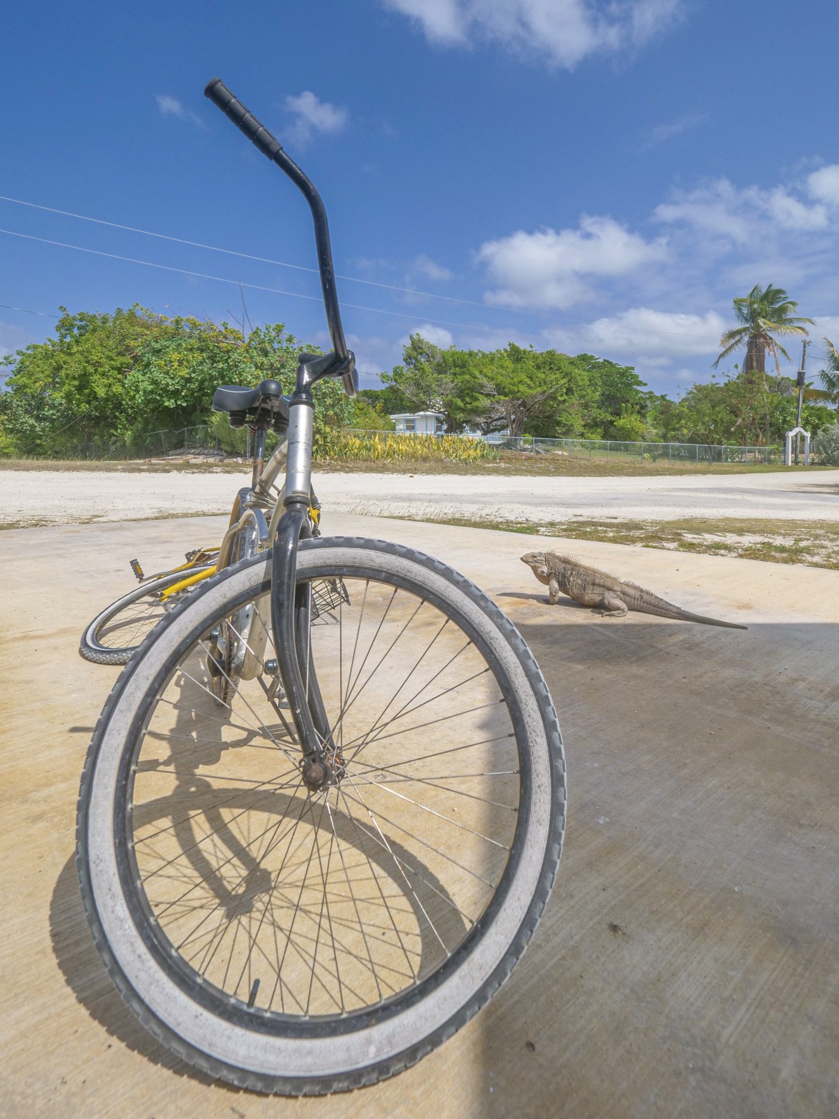 Little Cayman Land 2.5 Acres - By Airport - Image 6