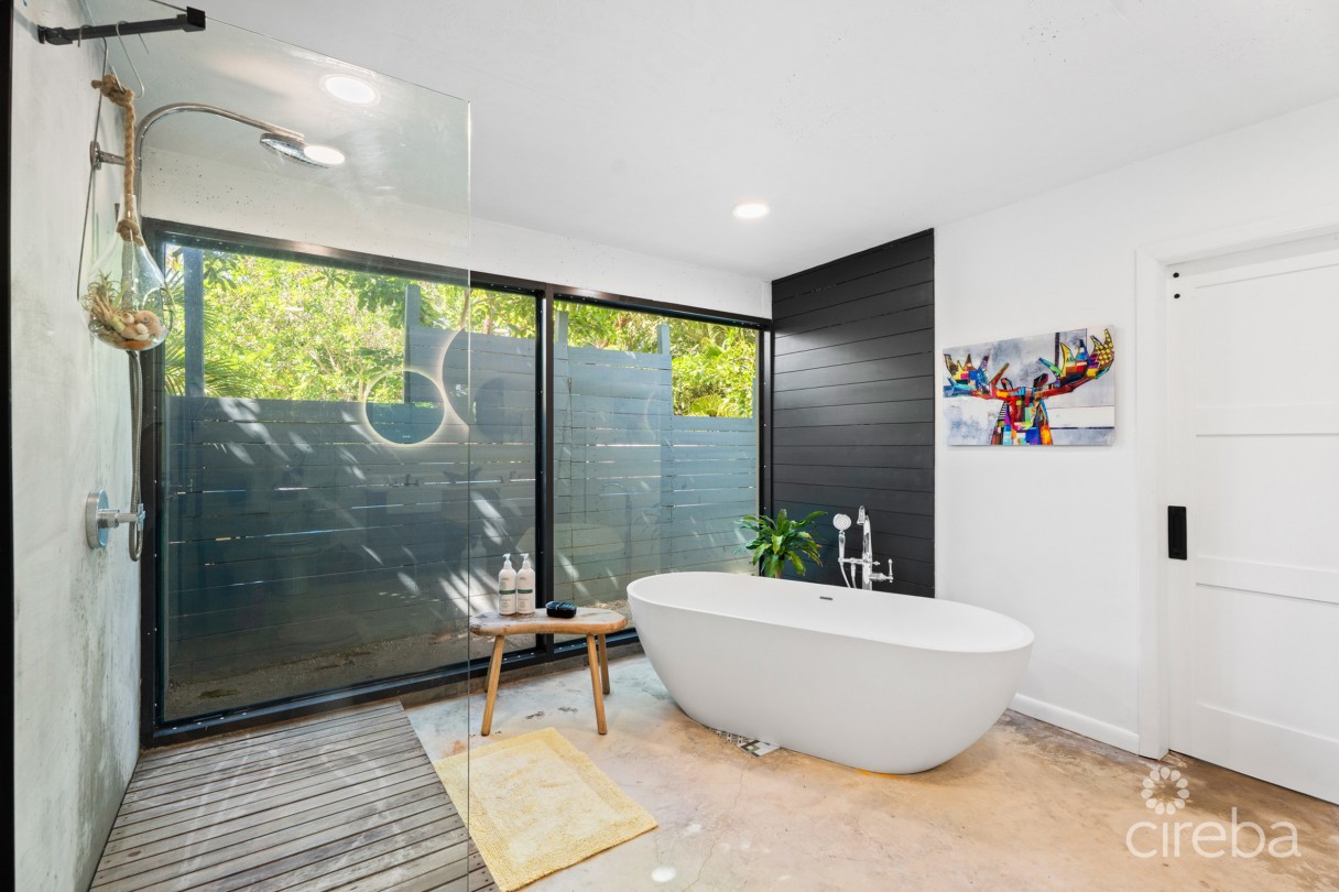 Pura Vida, South Sound Home - Image 4