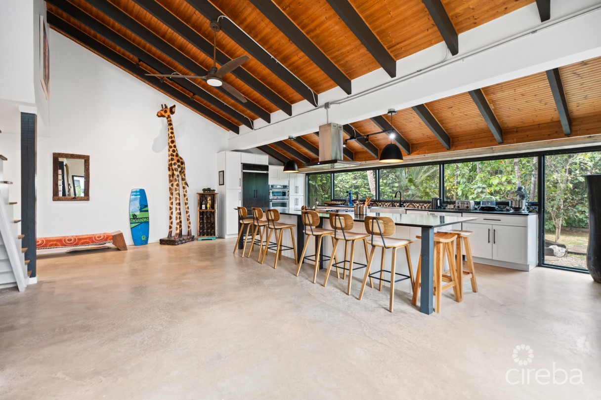 Pura Vida, South Sound Home - Image 12