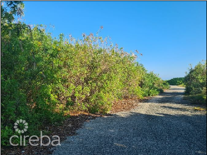 High Rock Development Land - Image 2