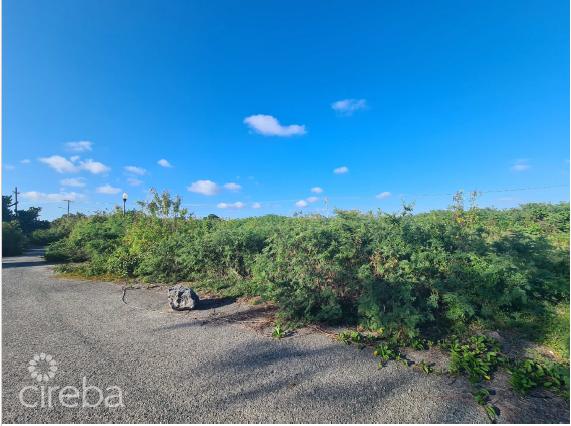 High Rock Development Land - Image 3