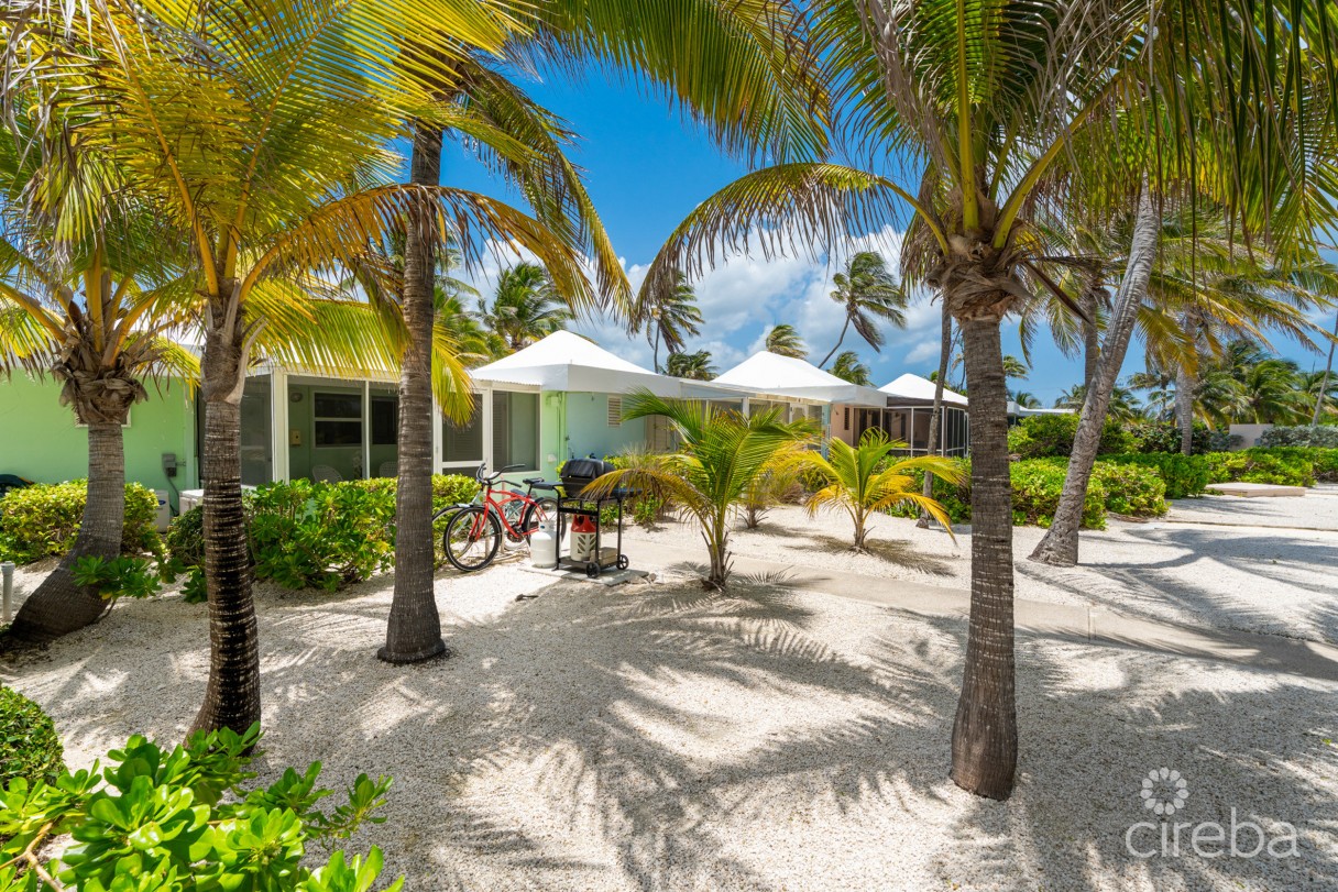 Cayman Kai Sea Lodge #13 Beachfront Condo With Impressive Rental History - Image 2