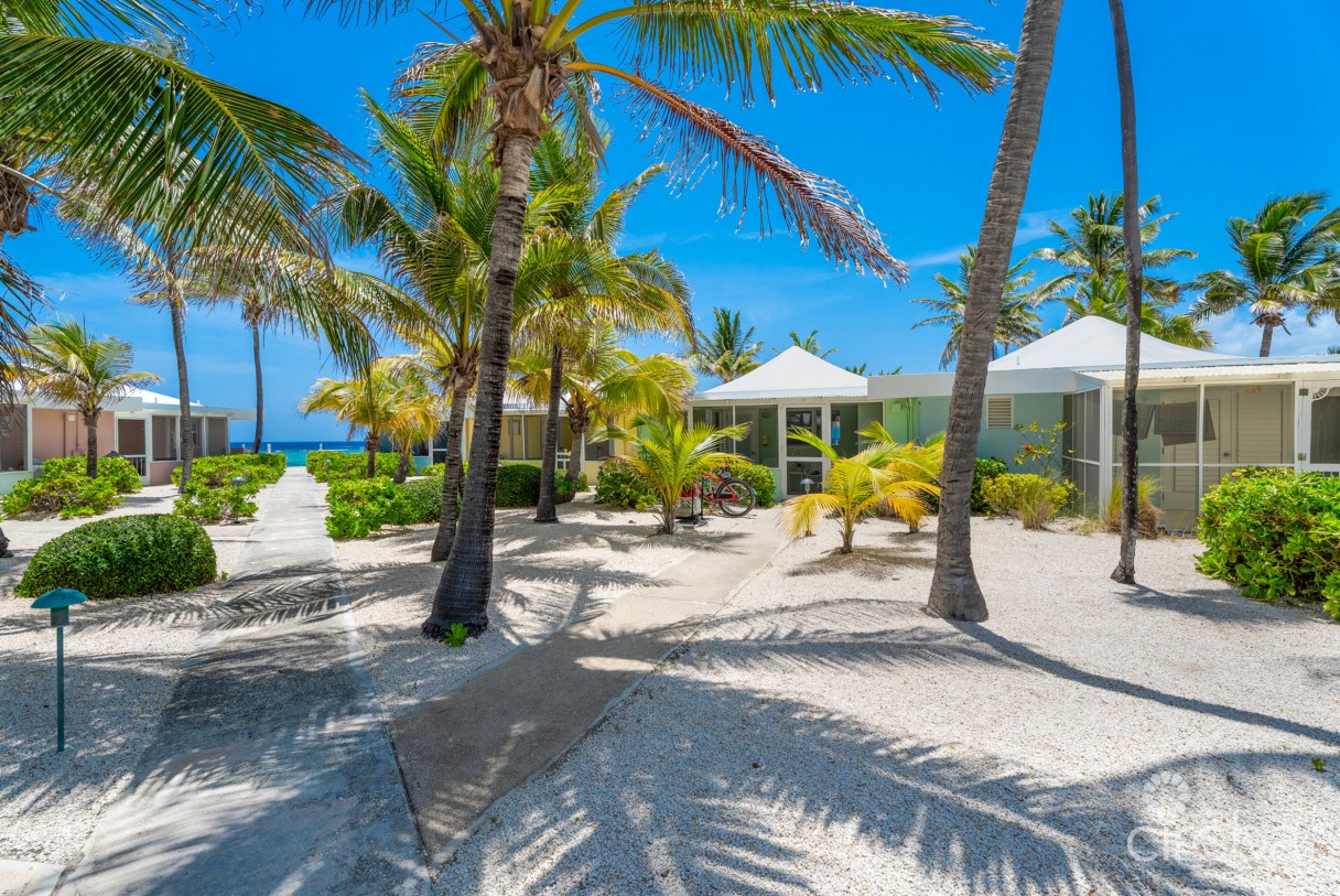 Cayman Kai Sea Lodge #13 Beachfront Condo With Impressive Rental History - Image 1