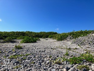 Cayman Brac Northside Beach Front Land - Image 5